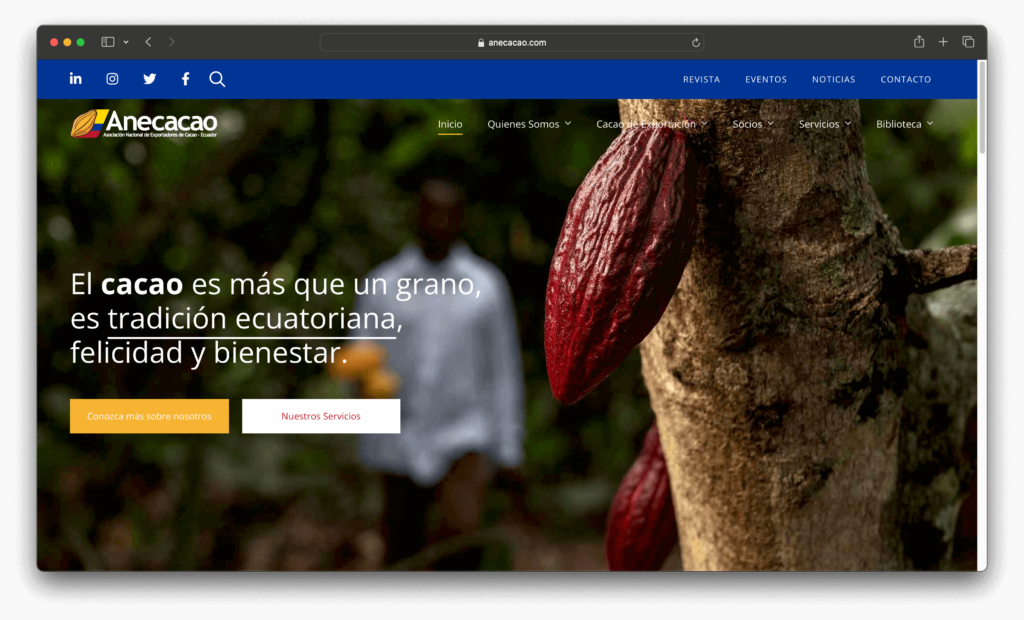 Web Design Services