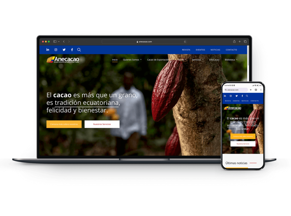 Web Design Services